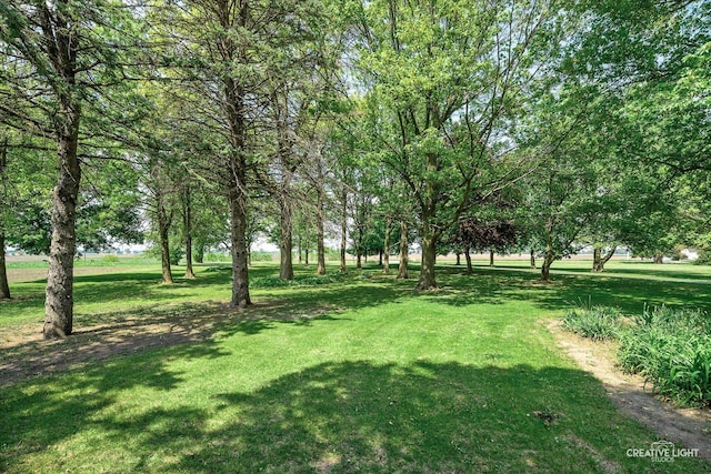 45W251 Ic Trl, Maple Park, IL 60151 - view of green lawn