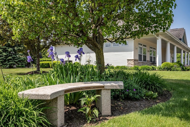 view of home's exterior with a yard