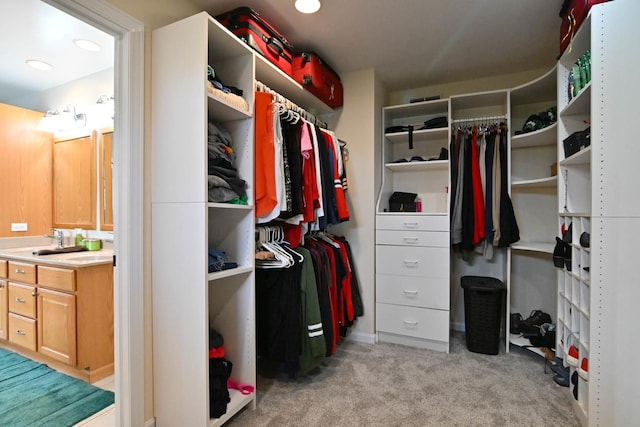 14445 W Walden Ln, Wadsworth, IL 60083 - spacious closet featuring light colored carpet and a sink