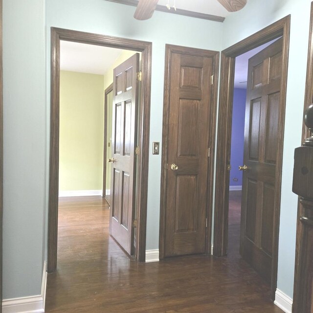 2810 Brentwood Ln, Mchenry, IL 60050 - hall with dark wood-style floors