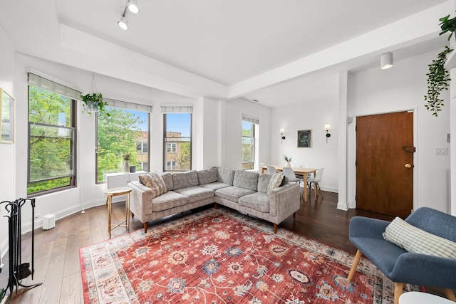 living area with hardwood / wood-style floors, baseboards, track lighting, and a tray ceiling