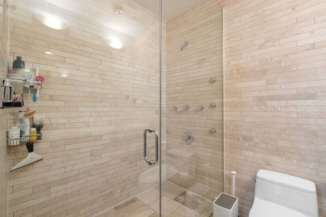 bathroom featuring a stall shower and toilet