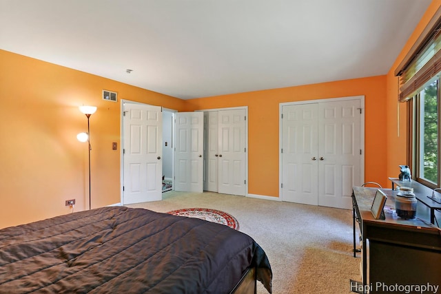 22665 W Depot St, Antioch, IL 60002 - carpeted bedroom featuring multiple closets and baseboards