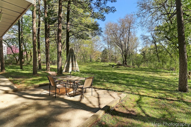 22665 W Depot St, Antioch, IL 60002 - view of grassy yard with a patio and outdoor dining area