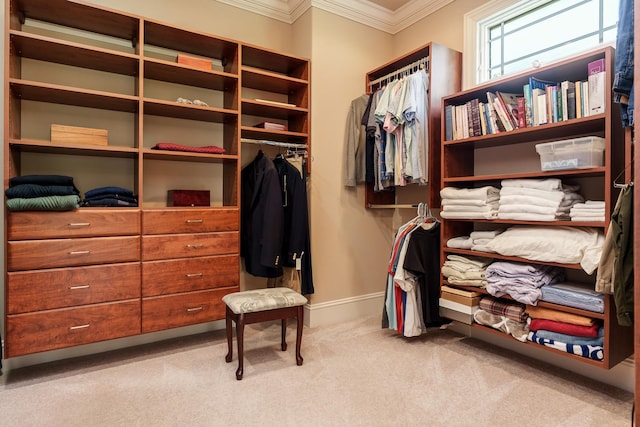 5344 River Run Parkway, Belvidere, IL 61008 - spacious closet with carpet floors