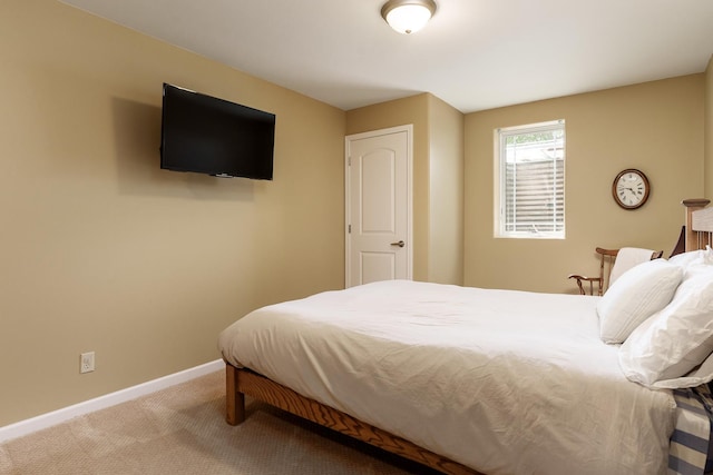 5344 River Run Parkway, Belvidere, IL 61008 - bedroom with carpet and baseboards