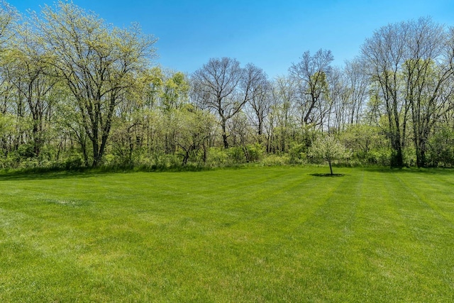 5344 River Run Parkway, Belvidere, IL 61008 - view of green lawn