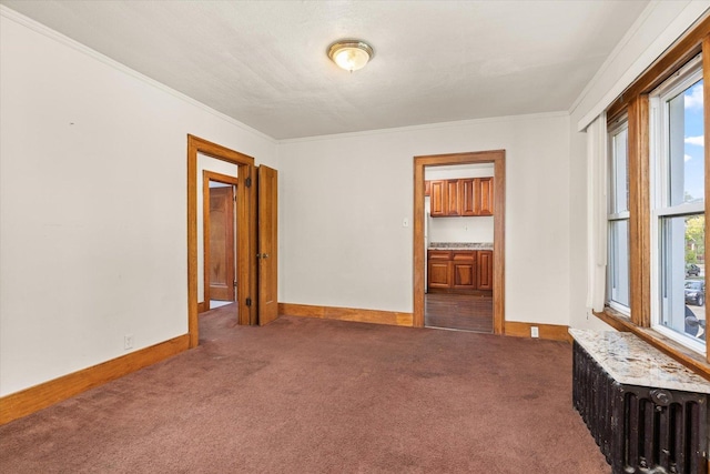 711 Mason Ave, Joliet, IL 60435 - carpeted empty room with radiator heating unit and ornamental molding