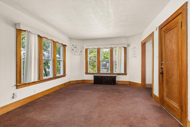 711 Mason Ave, Joliet, IL 60435 - unfurnished room with radiator heating unit and carpet