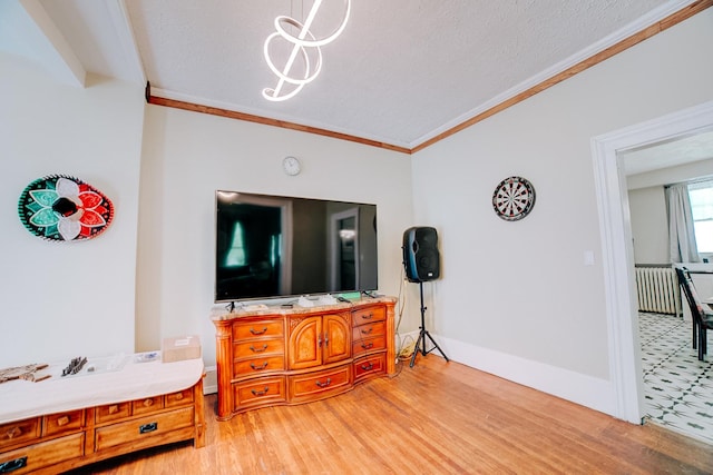 407 E Mulberry St, Watseka, IL 60970 - living room featuring light wood-style flooring, crown molding, radiator, a textured ceiling, and baseboards
