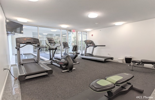1580 Sherman Ave Unit 1005, Evanston, IL 60201 - gym featuring expansive windows, a textured ceiling, and baseboards