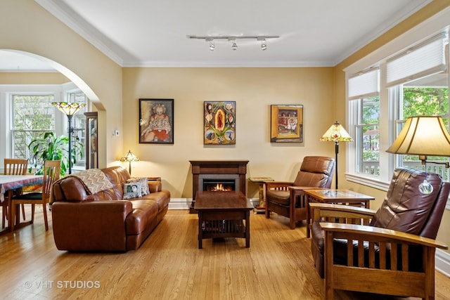 7223 Jackson Blvd, Forest Park, IL 60130 - sitting room featuring light wood-style flooring, arched walkways, a lit fireplace, and ornamental molding