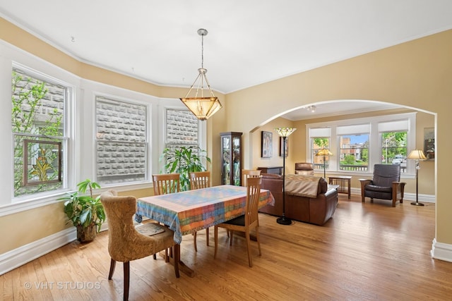 7223 Jackson Blvd, Forest Park, IL 60130 - dining room with arched walkways, healthy amount of natural light, light wood-type flooring, baseboards, and ornamental molding
