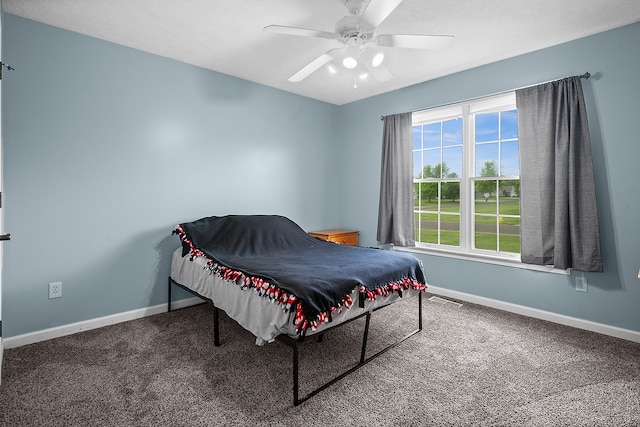 421 Sunset Dr, Colfax, IL 61728 - carpeted bedroom featuring baseboards and a ceiling fan