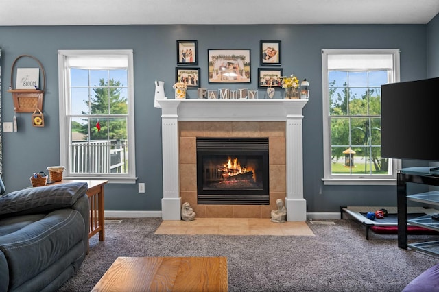 421 Sunset Dr, Colfax, IL 61728 - living room with carpet flooring, a fireplace, plenty of natural light, and baseboards