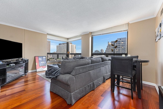 living area featuring a view of city, wood finished floors, ornamental molding, a textured ceiling, and baseboards