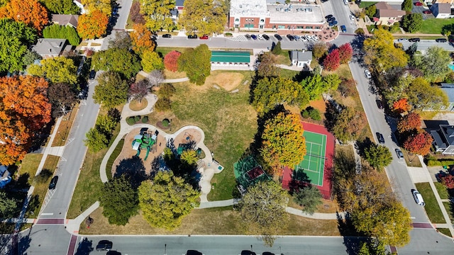 bird's eye view