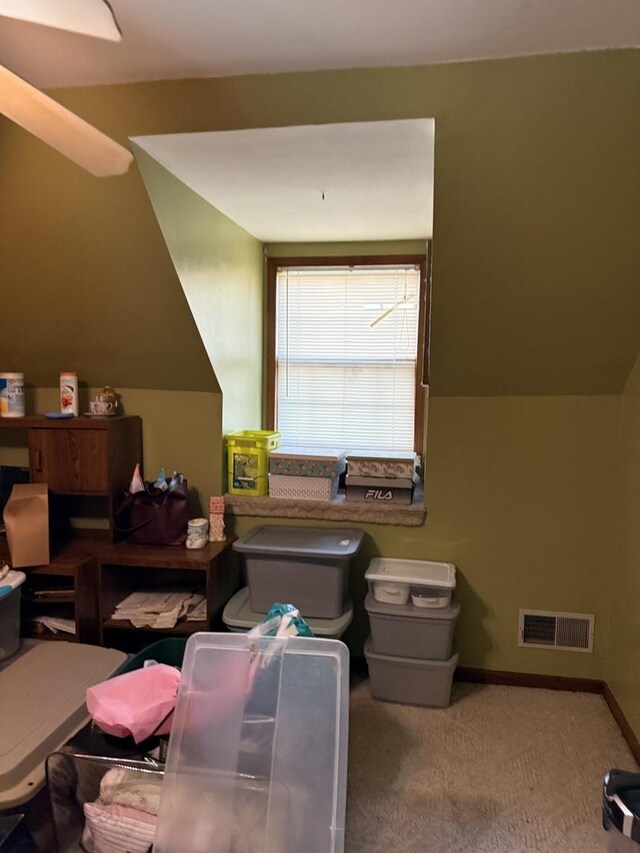 110 W Wayne Dr, Catlin, IL 61817 - bonus room with carpet flooring and baseboards