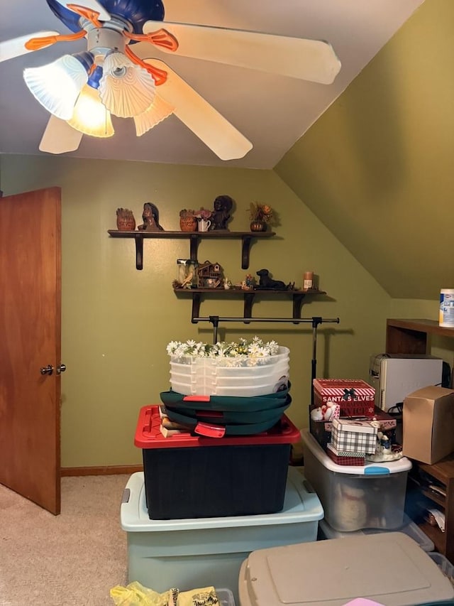 110 W Wayne Dr, Catlin, IL 61817 - detailed view of carpet and ceiling fan