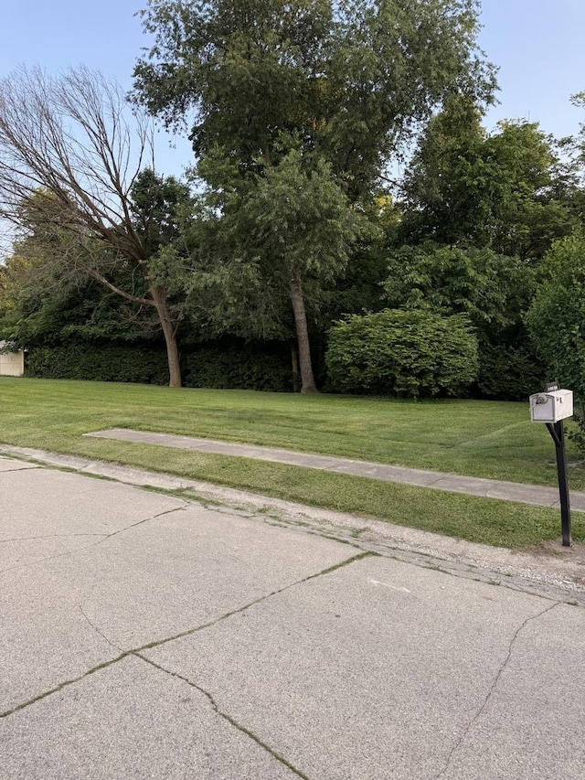 110 W Wayne Dr, Catlin, IL 61817 - view of road