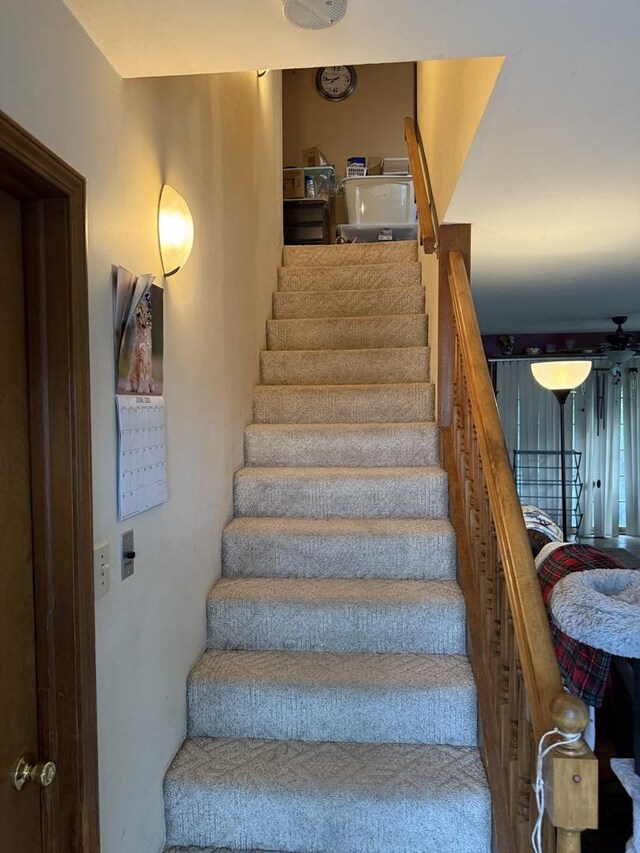 110 W Wayne Dr, Catlin, IL 61817 - stairway featuring carpet