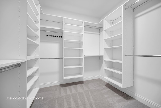 520 S Washington St Unit 201, Naperville, IL 60540 - spacious closet featuring carpet flooring