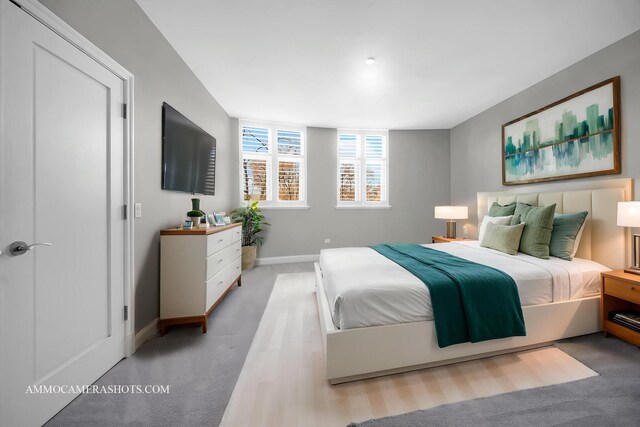 520 S Washington St Unit 201, Naperville, IL 60540 - bedroom featuring light carpet and baseboards