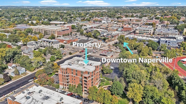 520 S Washington St Unit 201, Naperville, IL 60540 - bird's eye view