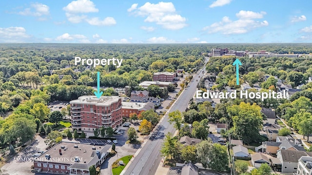 520 S Washington St Unit 201, Naperville, IL 60540 - bird's eye view of a heavily wooded area