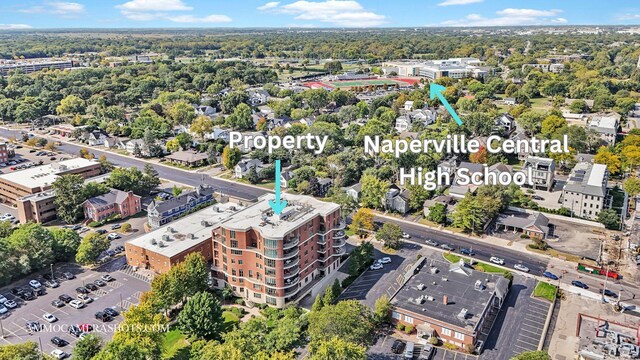 520 S Washington St Unit 201, Naperville, IL 60540 - bird's eye view