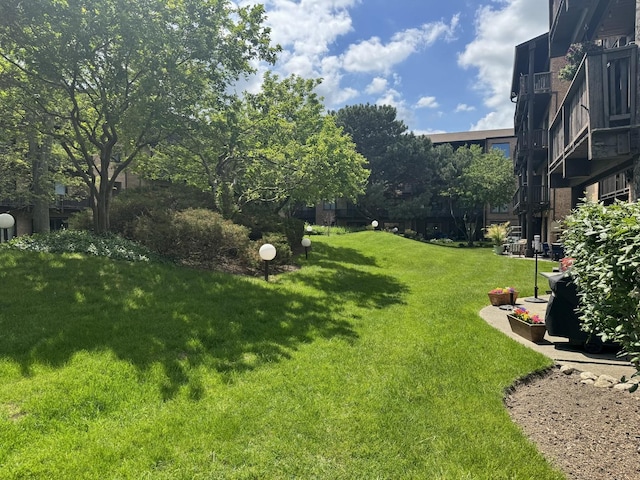 view of grassy yard