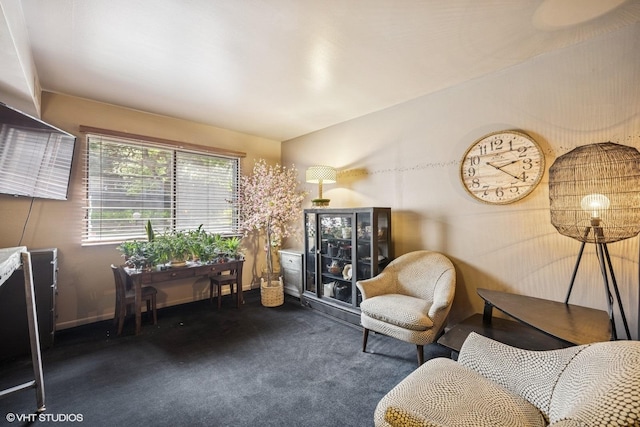 sitting room with carpet