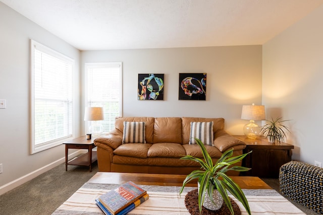502 Deerpath St, Tolono, IL 61880 - living room with carpet and baseboards