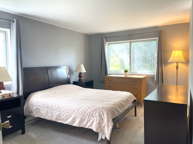 1510 Seville Ct Unit A1, Wheeling, IL 60090 - bedroom featuring light colored carpet