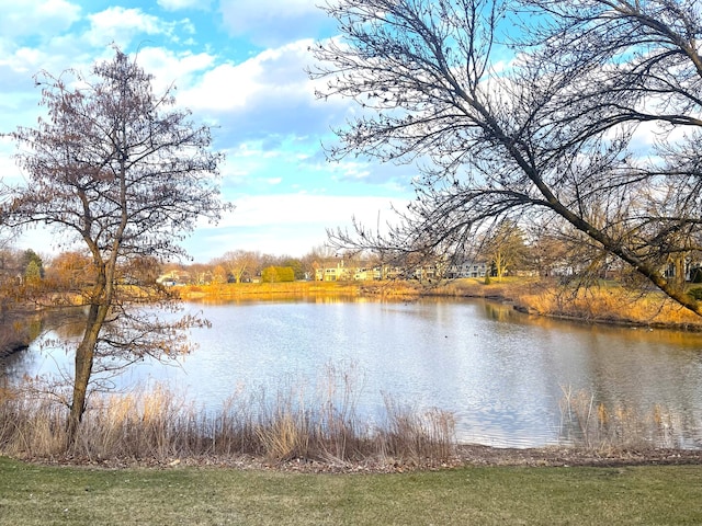 1510 Seville Ct Unit A1, Wheeling, IL 60090 - water view