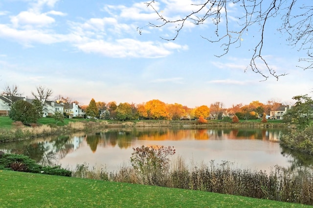 1510 Seville Ct Unit A1, Wheeling, IL 60090 - water view