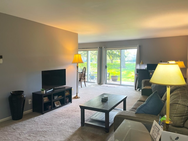 1510 Seville Ct Unit A1, Wheeling, IL 60090 - living area featuring carpet flooring