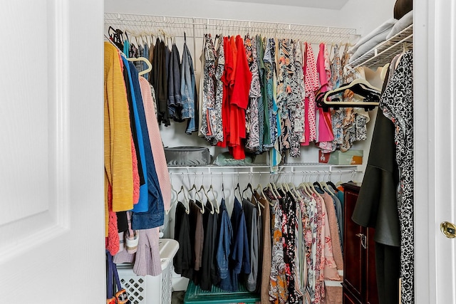 view of spacious closet