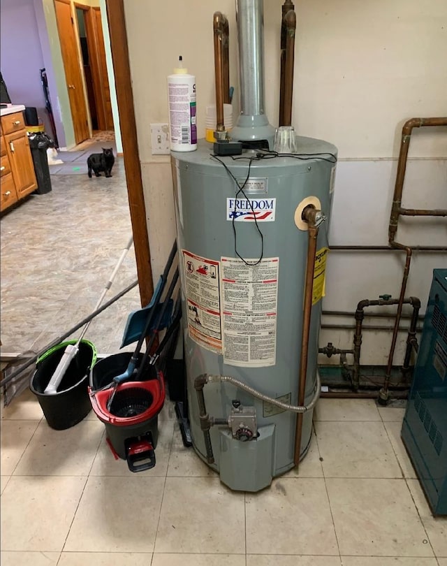 408 E Kyle St, Ogden, IL 61859 - utility room featuring gas water heater