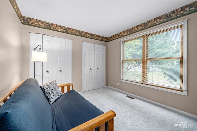 1070 Hobble Bush Ln, Elgin, IL 60120 - sitting room featuring plenty of natural light, carpet floors, and baseboards