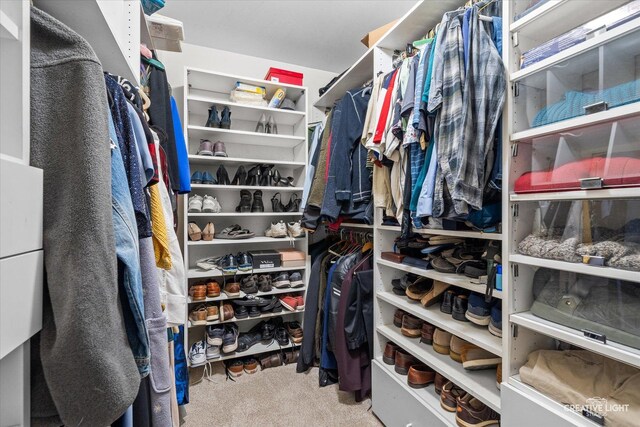 1070 Hobble Bush Ln, Elgin, IL 60120 - spacious closet with carpet floors