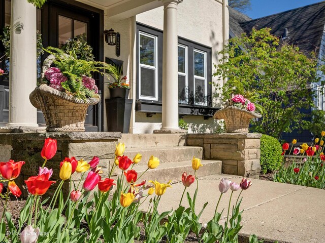 727 N Catherine Ave, La Grange Park, IL 60526 - photo 42