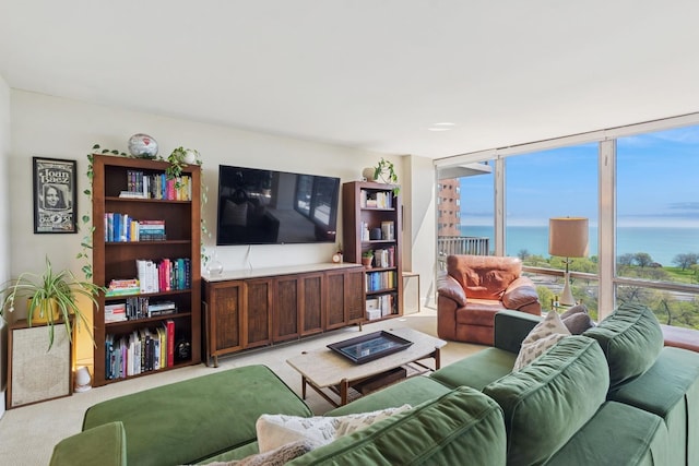 living room featuring carpet flooring and healthy amount of natural light