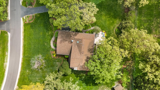 6 Old Timber Ln, Palos Park, IL 60464 - view from above of property
