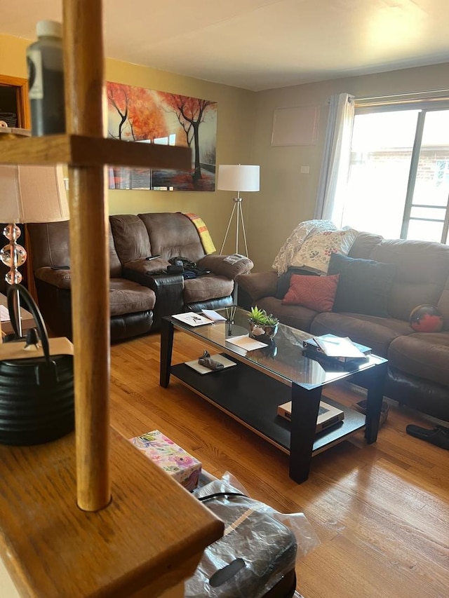 living room with wood finished floors