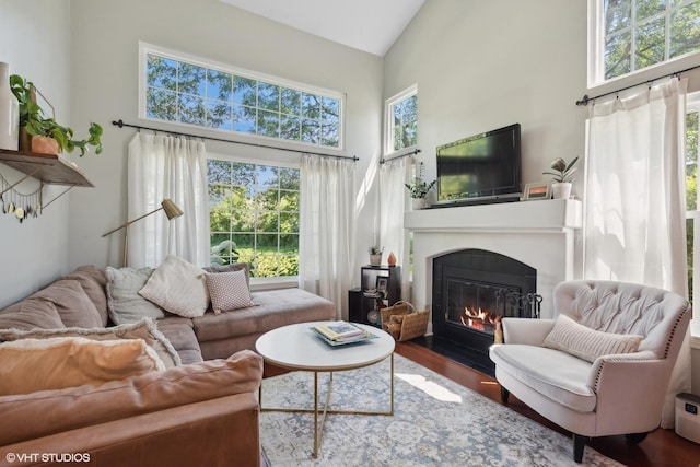 229 Concord Ln Unit 229, Carol Stream, IL 60188 - living room with high vaulted ceiling, a fireplace with flush hearth, and wood finished floors