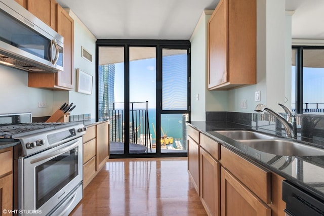 225 N Columbus Dr Unit 6006, Chicago, IL 60601 - kitchen with appliances with stainless steel finishes, a sink, dark stone countertops, light wood-style flooring, and floor to ceiling windows