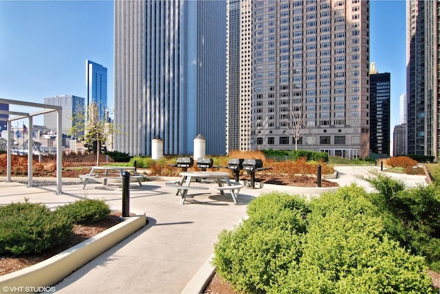 225 N Columbus Dr Unit 6006, Chicago, IL 60601 - surrounding community with a view of skyline