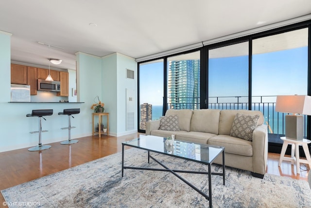225 N Columbus Dr Unit 6006, Chicago, IL 60601 - living room featuring wood finished floors, plenty of natural light, a wall of windows, and baseboards