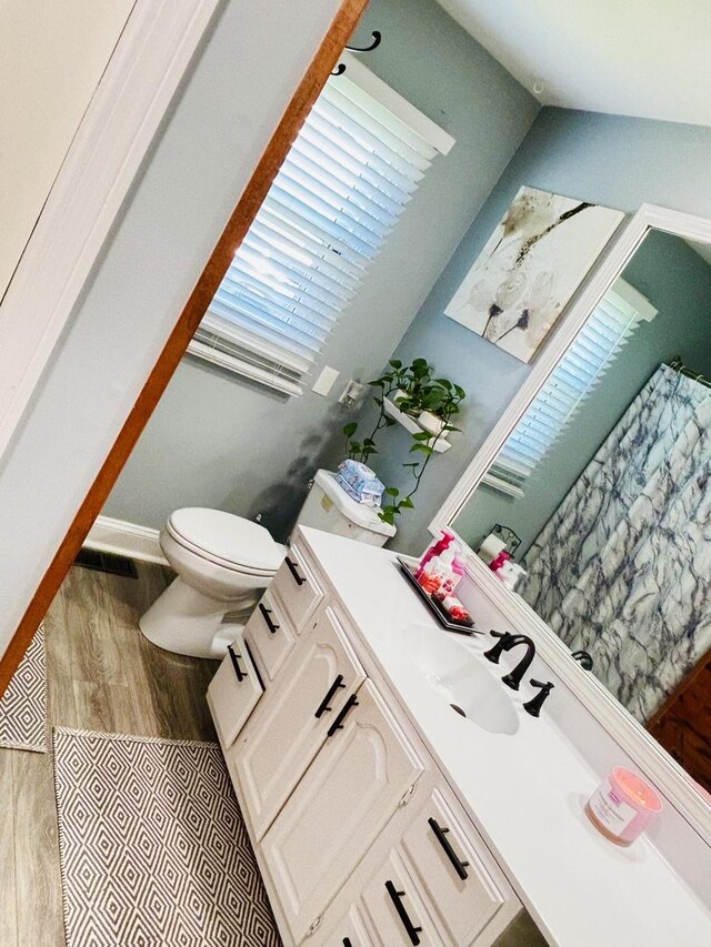 321 Lewis Ave, Wauconda, IL 60084 - bathroom with vanity, toilet, and wood finished floors